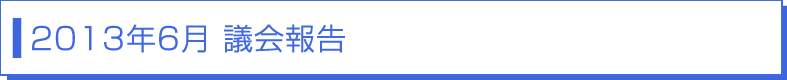 議会報告2013年6月